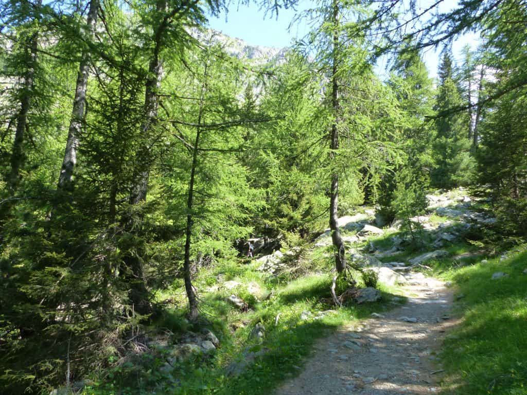 La biodiversité - raison pour changer sa consommation