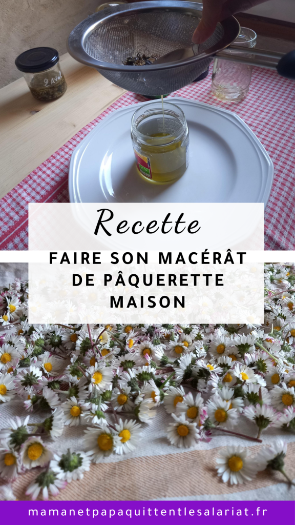  macérat de pâquerette