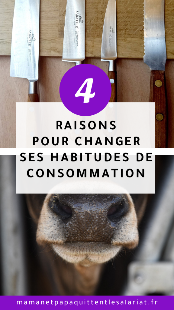 4 RAISONS POUR CHANGER SES HABITUDES DE CONSOMMATION