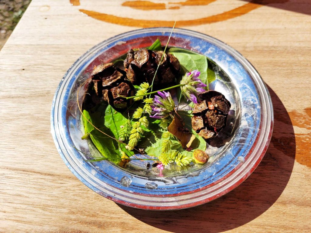 Plat fait avec la Mud Kitchen
