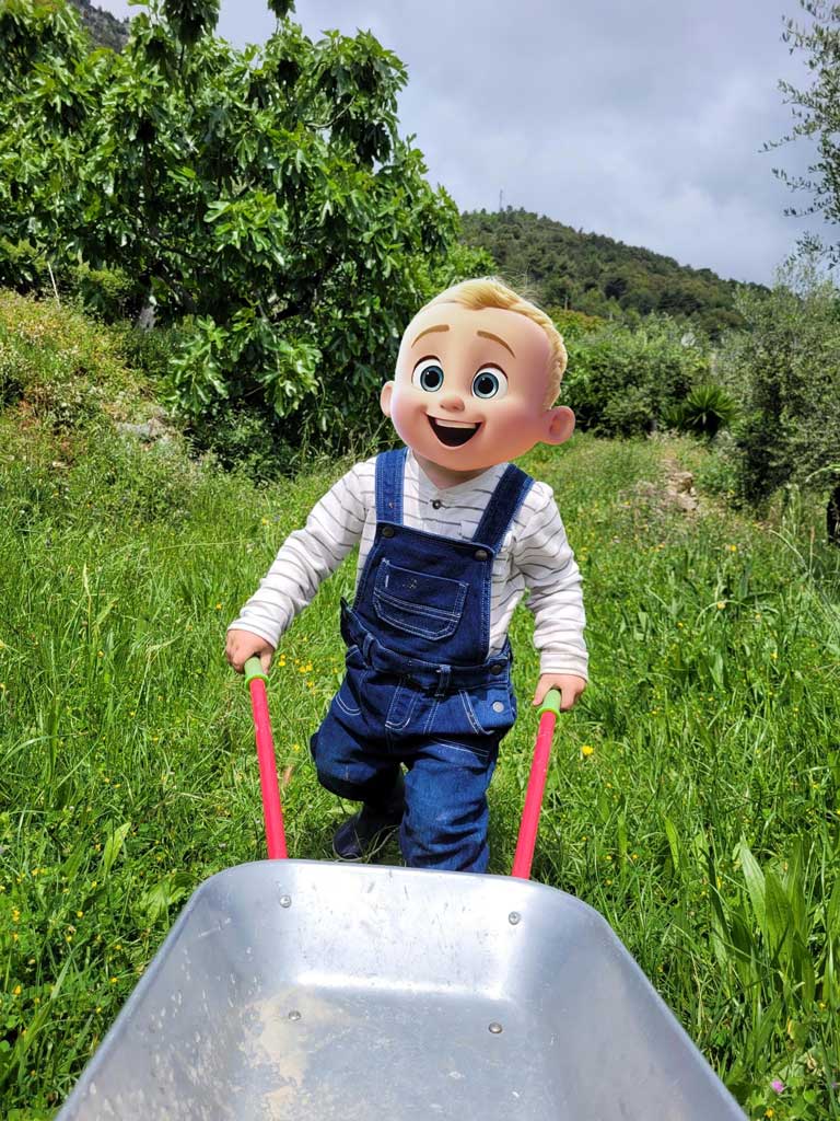 activité au jardin enfant - la brouette